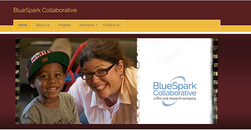 Bluespark Collaborative Image