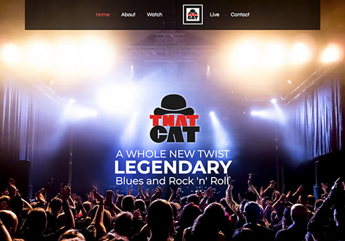 That Cat Blues Image